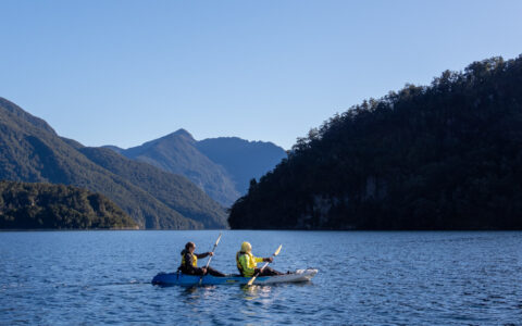 Tandem kayakers paddle a blue boat in a calm fjord between green hills under a blue sky in Fiordlands National Park, New Zealand.