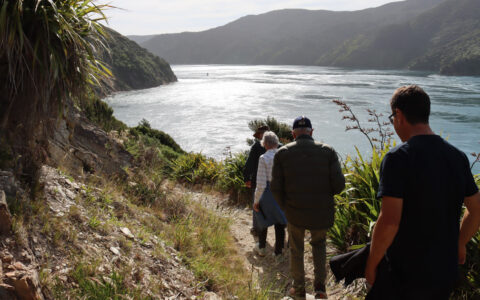 4 Marlborough Sounds cruise guests walk a beige dirt & stone trail with lush, bright green plants overlooking a sunny fjord