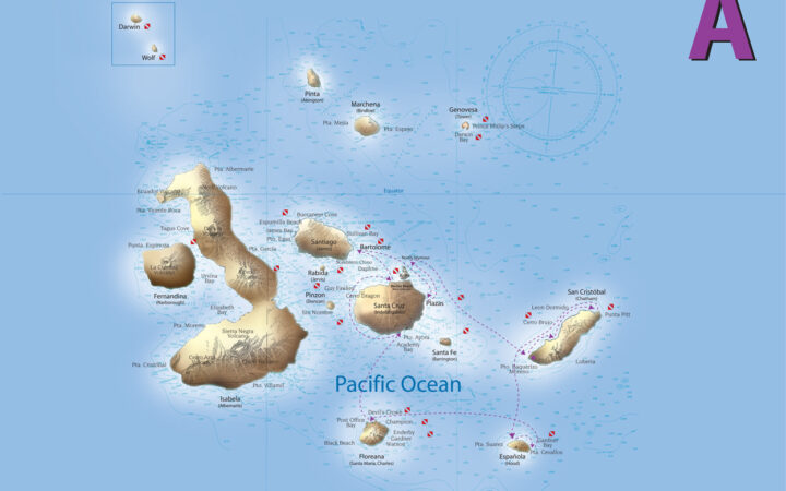 Route map of Origin, Theory, Evolve & Letty Galapagos Cruises 8-day East itinerary, operating roundtrip from San Cristobal Island with visits to Espanola, Floreana, Santa Cruz, Bartolome, South Plaza & North Seymour islands.