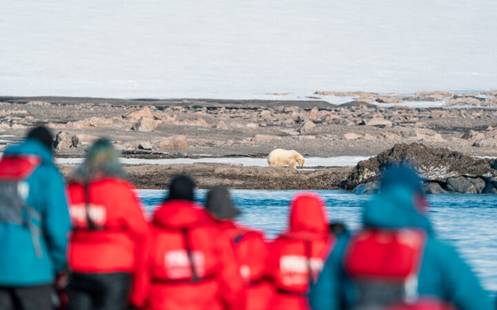 Boat passengers wearing life jackets observe a polar bear off in the distance during the Arctic Wildlife Safari small ship cruise.