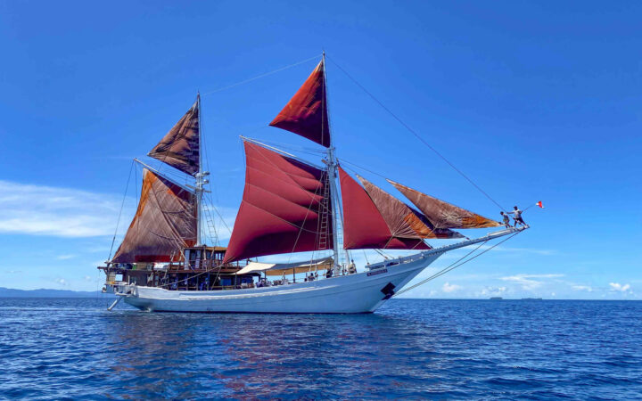 Katharina Indonesia sailing ship with wooden hull painted white & large burgundy sails unfurled on a sunny day at sea.