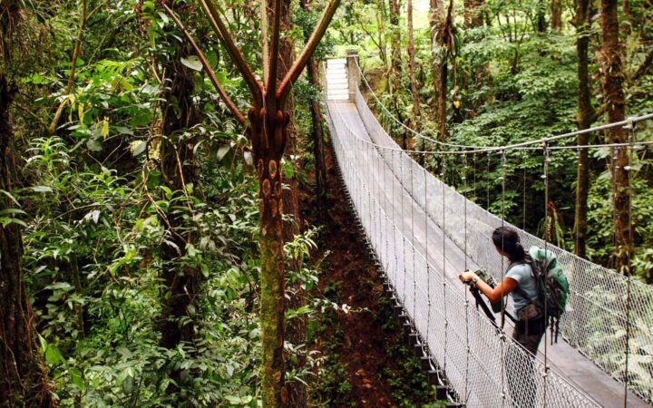 Women walking across a suspension bridge with her camera in a tropical cloud forest in costa rica