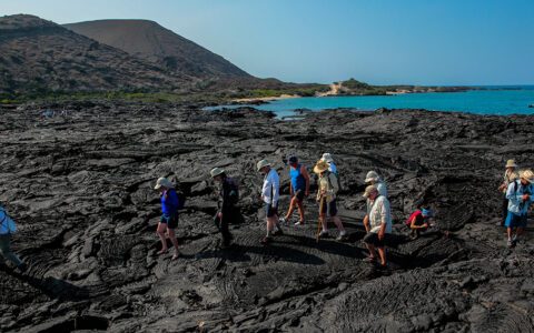 A group of travelers walks along dark black lava rock on the shore in the Galapagos