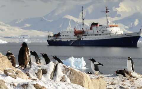 Penguins scamper on rocks in the foreground while a ship sails across the open sea in the background in antarctica