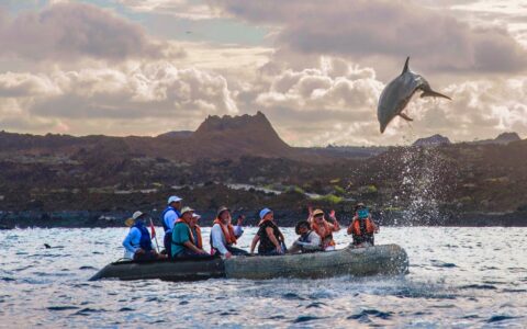 Isabela II Galapagos Cruises photo 3