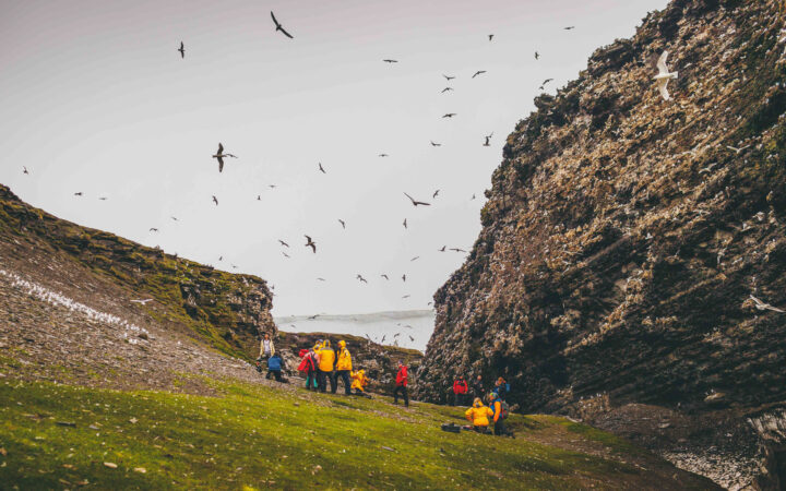 Group of small ship cruise travelers perched on a nearby cliffside in Spitsbergen taking pictures of hundreds of seabirds flying above them