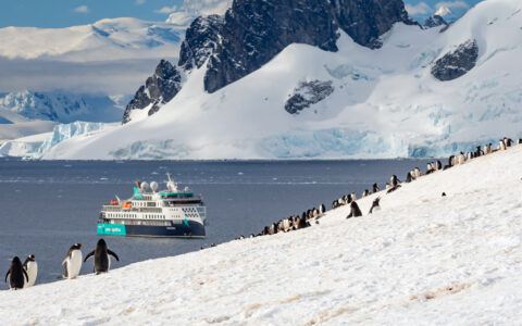 Black & white penguins walk up a steep, snowy hillside in the sun as a small white, blue & teal ship sits nearby in Antarctica.