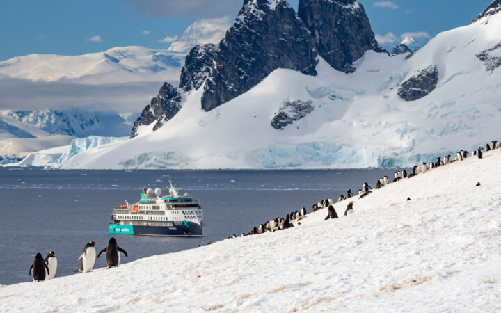 Black & white penguins walk up a steep, snowy hillside in the sun as a small white, blue & teal ship sits nearby in Antarctica.