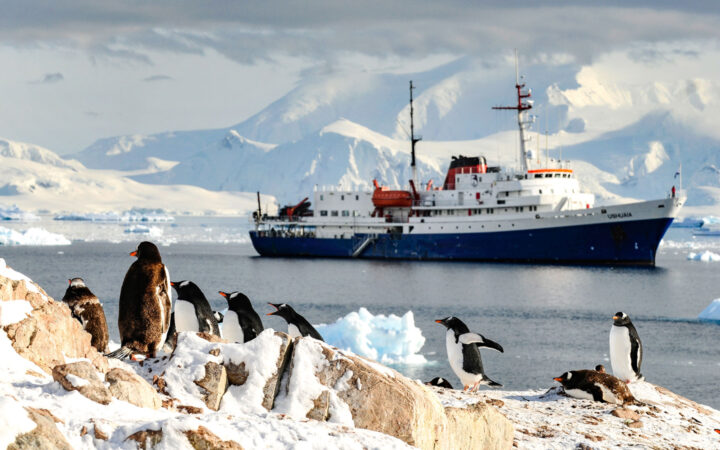 Penguins scamper on snow-covered rocks while an expedition ship with Classic Antarctica cruise travelers navigates a passage of ocean between the mountains.