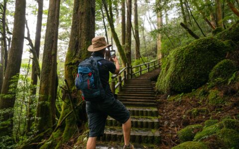 Man stands & photographs a stone staircase among tall trees & mossy ground on an expedition cruise in Japan.