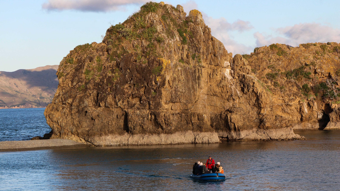 Blue Zodiac boat with Marlborough Sounds cruise travelers motors near to a green & tan cliff in calm sea in New Zealand.