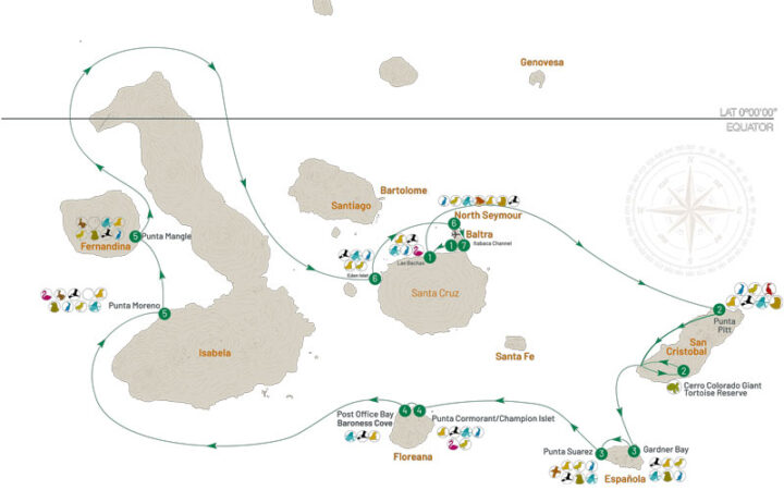 Route map for 7-Day Central Isabela II Galapagos Cruise with visits to Baltra, Santa Cruz, San Cristobal, Espanola, Floreana, Isabela, Fernandina and North Seymour islands.