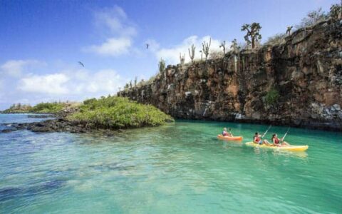 galapagos travelers in kayaks cruise on turquoise water next to a sheer cliff on a sunny day