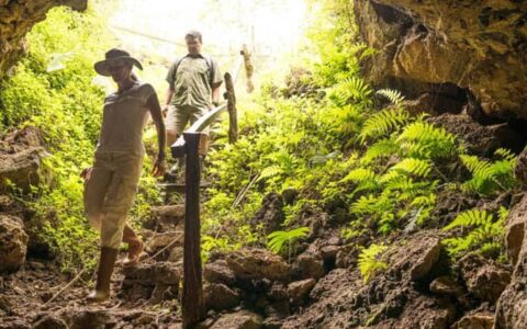 travelers on the galapagos discovery land tour walking downward on a rocky path with light above and ferns on either side of them