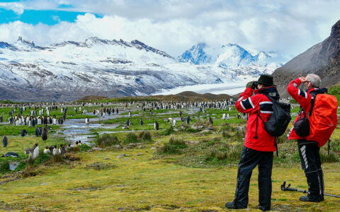 Two explorers photograph scenic views with meadows of penguins in green grass and snowy mountains in the distance.