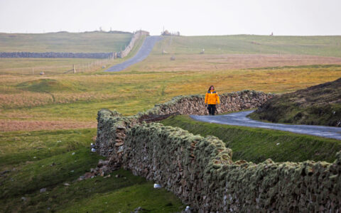 Woman in yellow parka walks a quiet dirt road lined by a stone wall with green fields surrounding on an Arctic Saga cruise.