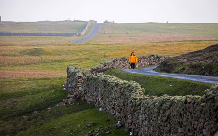 Woman in yellow parka walks a quiet dirt road lined by a stone wall with green fields surrounding on an Arctic Saga cruise.