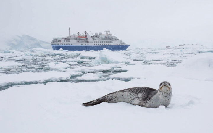 Discoverer expedition ship operated by Polar Latitudes in Antarctica with a large leopard seal laying on an iceberg on a cloudy day