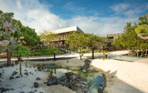 Walkways surrounded by cacti, pond and trees around the exterior of Finch Bay Eco Hotel on a partly cloudy day in the Galapagos