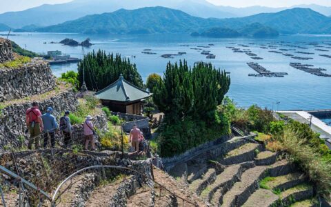 Small group of Japan travelers walks down outside staircase among terraces & a green pagoda overlooking blue sea in the sun.