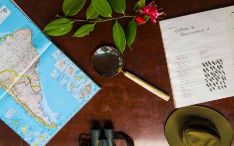 Dark wood table with South America map, magnifying glass, olive-colored hat, binoculars, bright pink flower & book on flora & fauna.