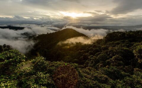 Aerial view of green mountains covered in loy-lying clouds at sunrise, seen on the Mashpi Rainforest Tour in Ecuador.