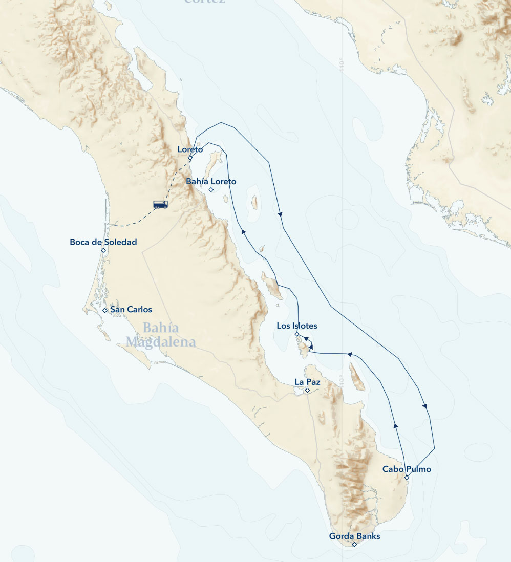 Route map of Baja California: Among the Great Whales, operating round-trip from Loreto, south to Cabo Pulmo & back with a day overland to Boca de Soledad.