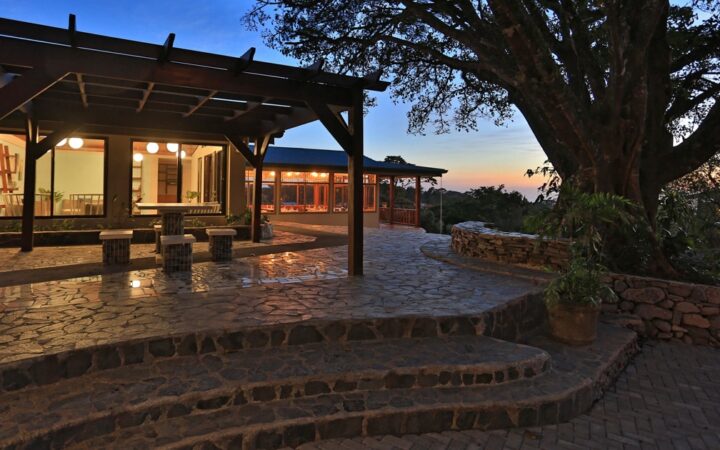 Stone terrace overlooking cloud forest at dusk beside a lit-up lounge and large tree, at Senda Monteverde boutique eco-hotel.