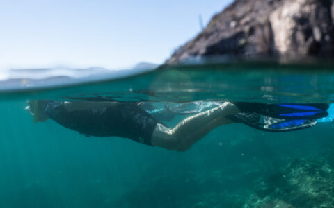A guest Snorkeling in San Evaristo, Baja California Sur, Mexico