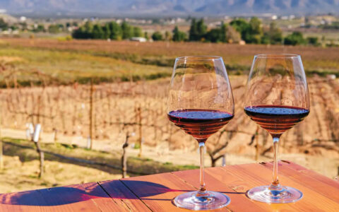 Wine glasses sitting on a rable with a tasting of red wine overlooking the vinyards