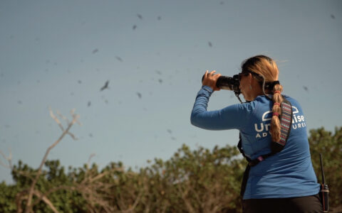 Woman with a telephoto camera photographing a flock of birds scattered across the sky above a tree line.
