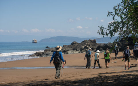 Hikers with backpacks and trekking poles walk along a coastal beach past rocky outcrops, with an expedition ship anchored offshore.
