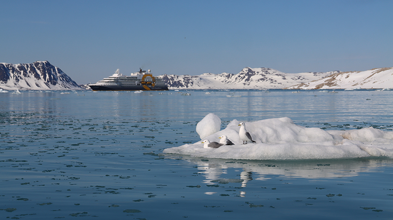 A ship seen among icebergs and snow mountains with seagulls on an iceberg in the foreground