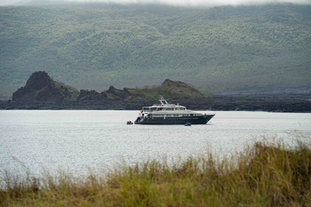 Exterior of Galapagos Angel small yacht with navy blue hull & white upper decks on anchor near a grassy shorline.