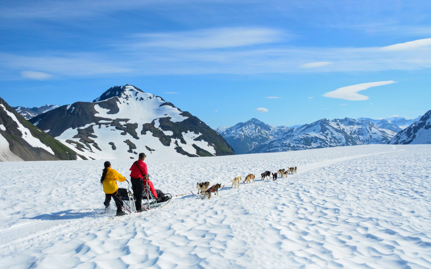 two people dogsledding through the snow on a sled pulled by several dogs in the mountains on an ultimate alaska adventure trip